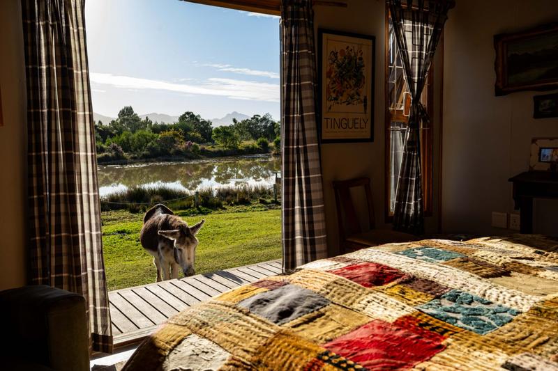 0 Bedroom Property for Sale in The Crags Western Cape